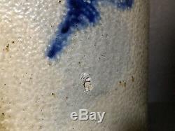 Antique 2 Gal. Stoneware Salt Glazed Whiskey Jug Crock Blue Cobalt Bird New York