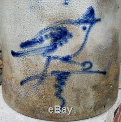 Antique Hart Bros Fulton NY Stoneware Crock Cobalt Blue Decorated Bird Robbin 4g