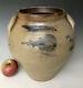 Antique Stoneware Cortland Ny Ovoid Crock With Cobalt Tulip, Chollar & Darby 1845