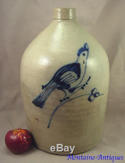 Finest Quality Fulper Bird Stoneware Jug- Near Mint-19th cent