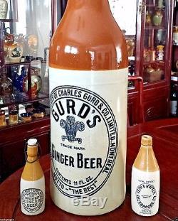 Huge Gurd's Montreal Canada 30.1/4 Store Display Stoneware Ginger Beer Bottle