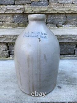 Rare F B NORTON Antique Primitive Salt Glazed Stoneware Worcester Mass Crock Jug
