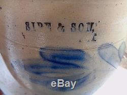 Vintage Sipe & Sons Williamsport Pa Blue Decorated Stoneware Crock Tulip Jug