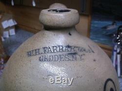 W. H. Farrar & co. Geddes N. Y. Stoneware bird crock jug SUPERB